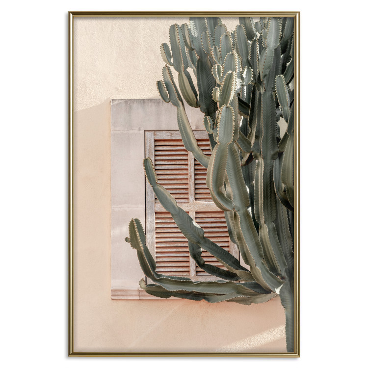 Wall Poster Green Thorns - composition with tropical plant against architecture 129469 additionalImage 17