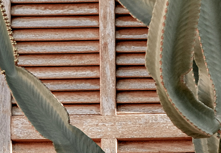 Wall Poster Green Thorns - composition with tropical plant against architecture 129469 additionalImage 9