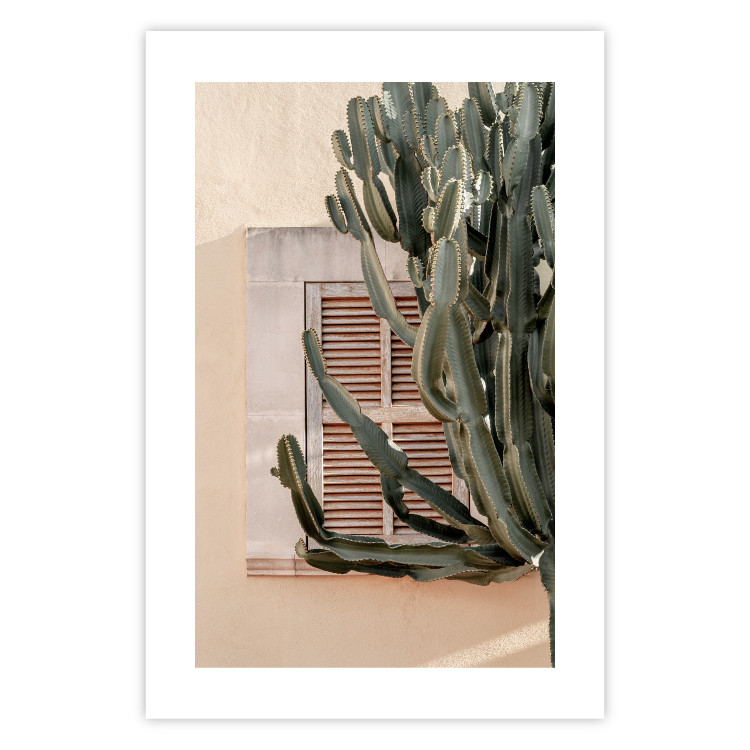Wall Poster Green Thorns - composition with tropical plant against architecture 129469 additionalImage 19