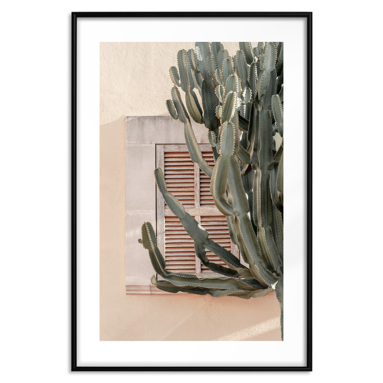 Wall Poster Green Thorns - composition with tropical plant against architecture 129469 additionalImage 15