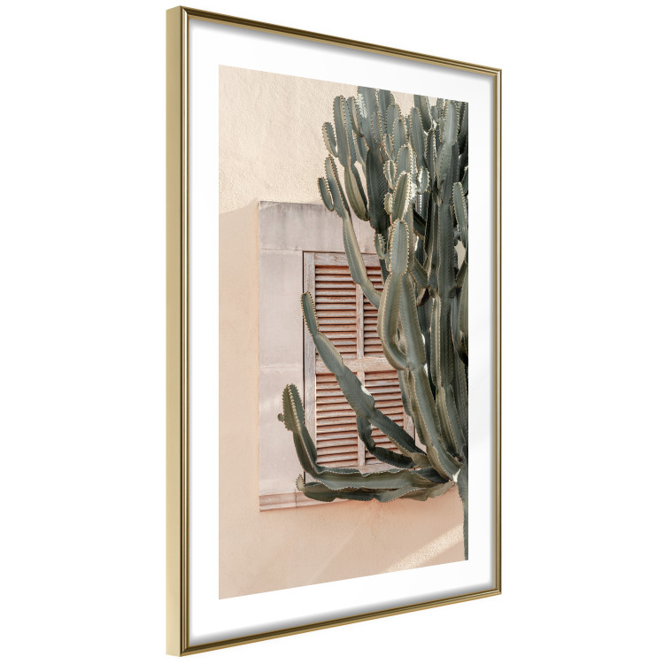 Wall Poster Green Thorns - composition with tropical plant against architecture 129469 additionalImage 7