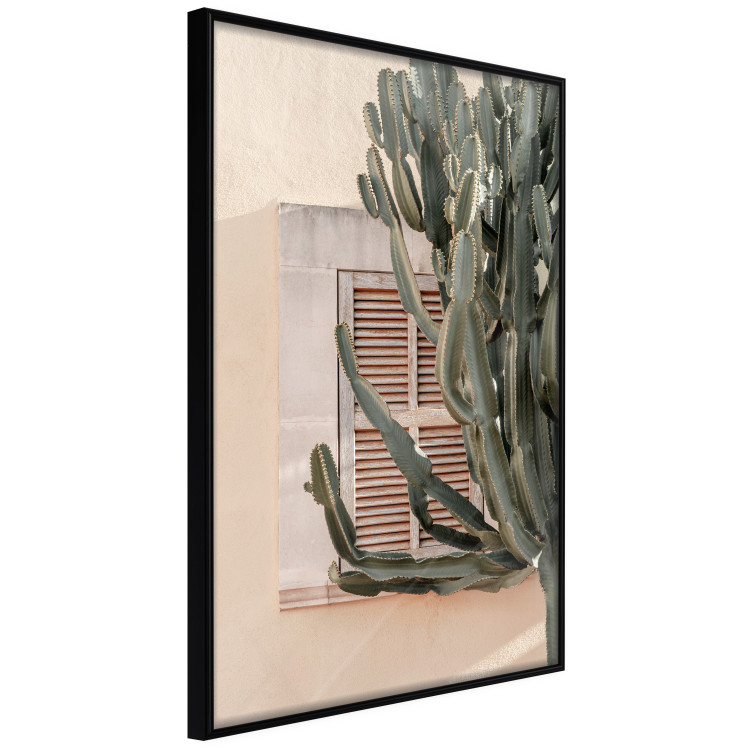 Wall Poster Green Thorns - composition with tropical plant against architecture 129469 additionalImage 11
