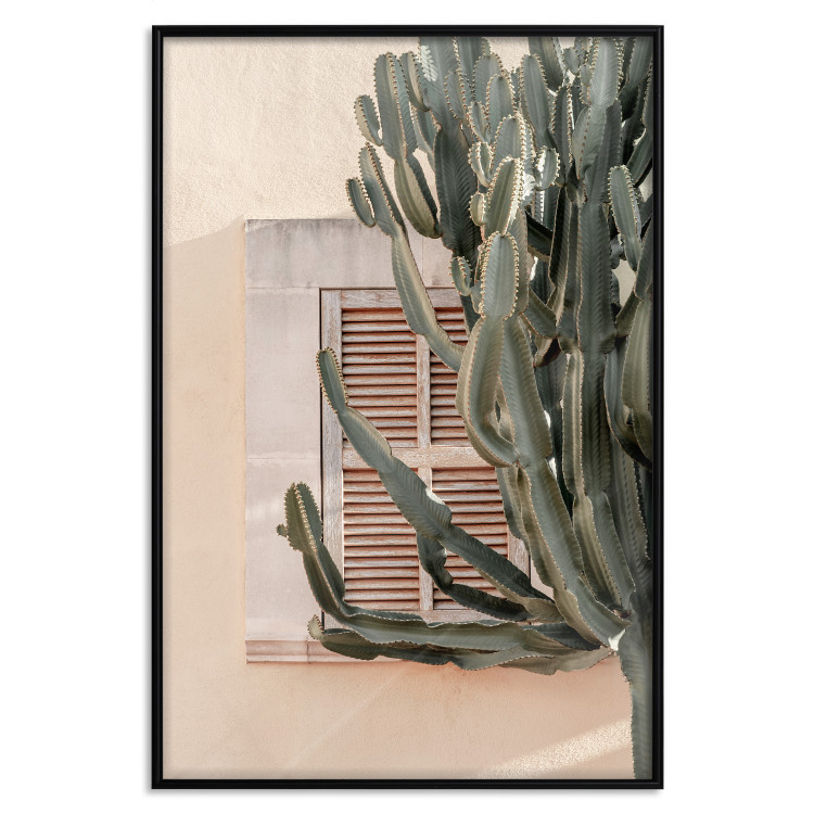 Wall Poster Green Thorns - composition with tropical plant against architecture 129469 additionalImage 16