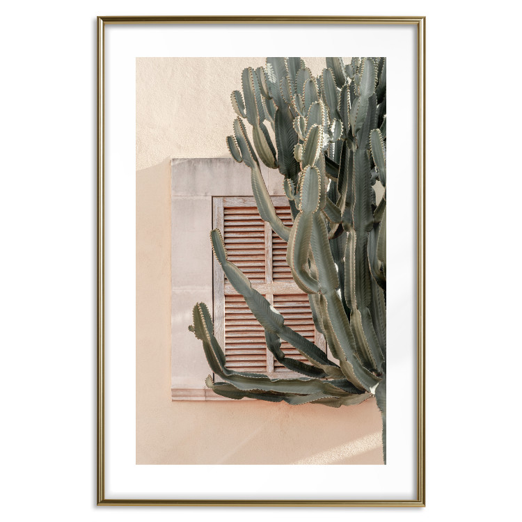 Wall Poster Green Thorns - composition with tropical plant against architecture 129469 additionalImage 14