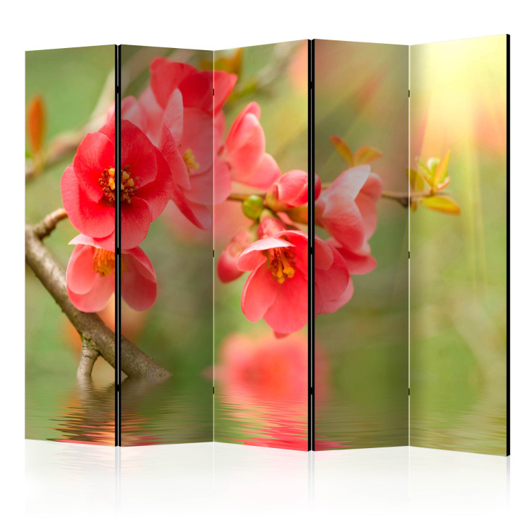 Room Divider Screen Azalea Reflected in the Water II - red plant composition above water 133969