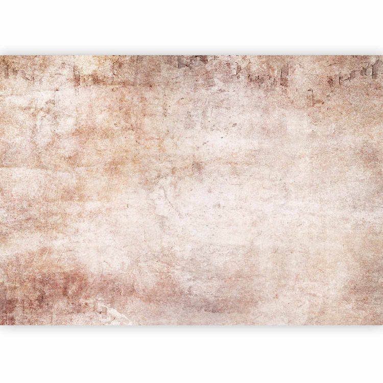 Wall Mural Gentle touch - concrete texture abstraction in light colours 143169 additionalImage 5
