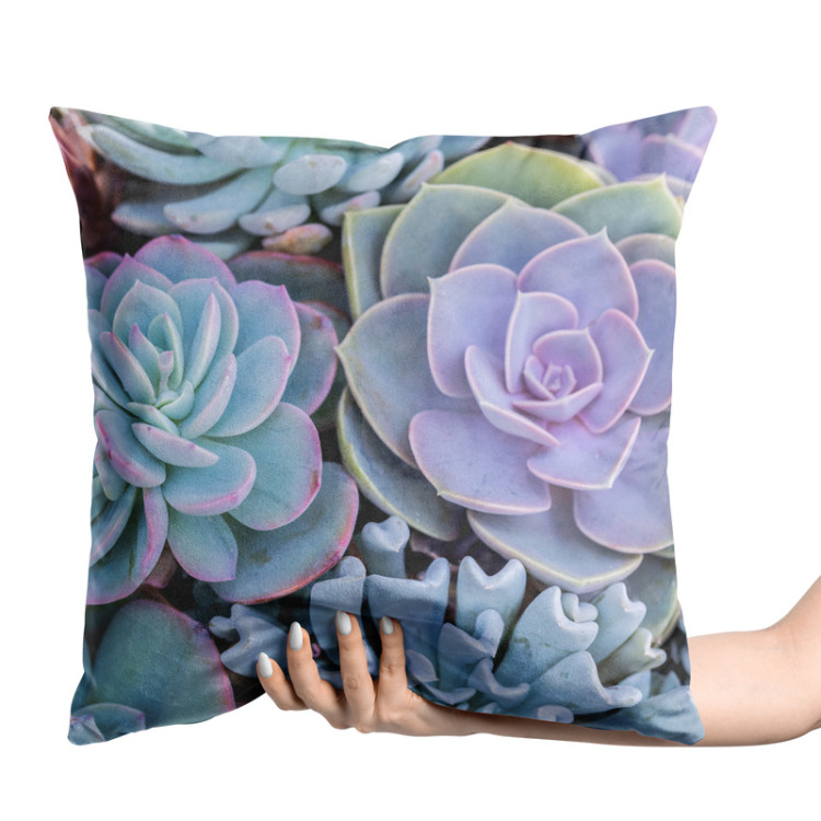 Decorative Velor Pillow Blue succulents - a floral composition with rich detailing 147069 additionalImage 2