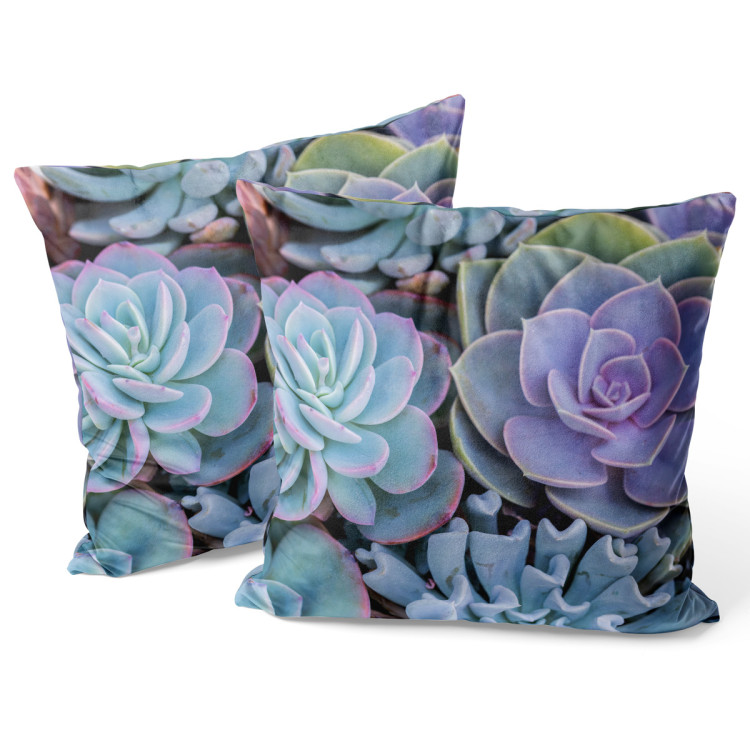 Decorative Velor Pillow Blue succulents - a floral composition with rich detailing 147069 additionalImage 3