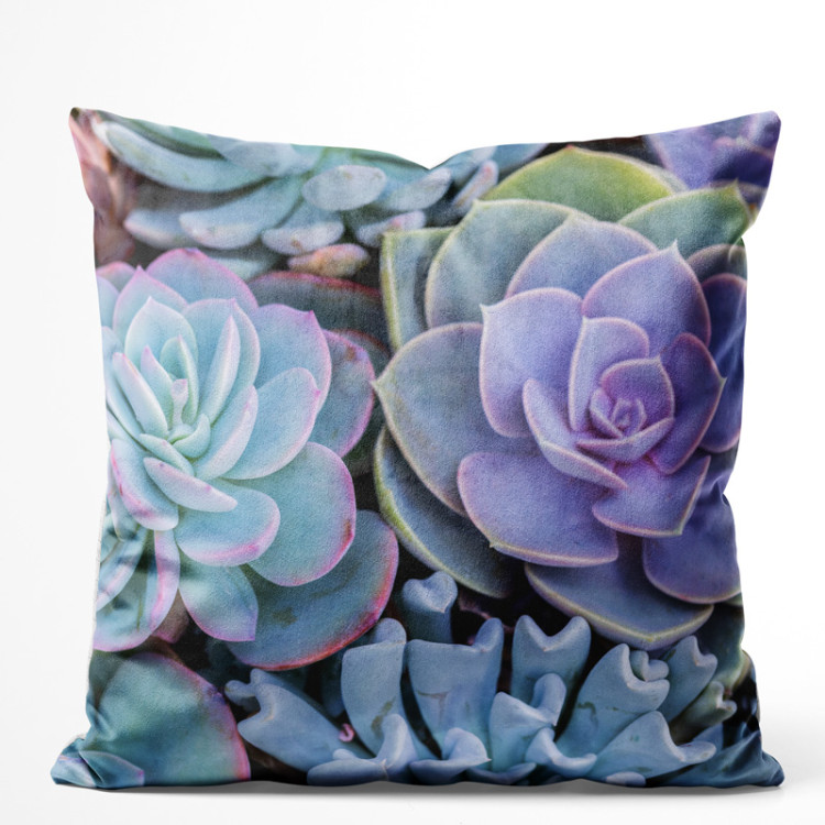 Decorative Velor Pillow Blue succulents - a floral composition with rich detailing 147069