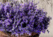 Canvas Art Print Secret Lavender Bouquet (1 Part) Narrow 149969 additionalThumb 4