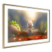 Wall Poster Garden Robber - A Small Rabid Bunny Hunting for Carrots 151569 additionalThumb 4
