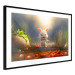 Wall Poster Garden Robber - A Small Rabid Bunny Hunting for Carrots 151569 additionalThumb 2