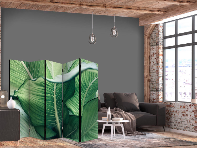 Room Divider Screen Large Leaves - Floral Motif in Shades of Green II [Room Dividers] 159569 additionalImage 4