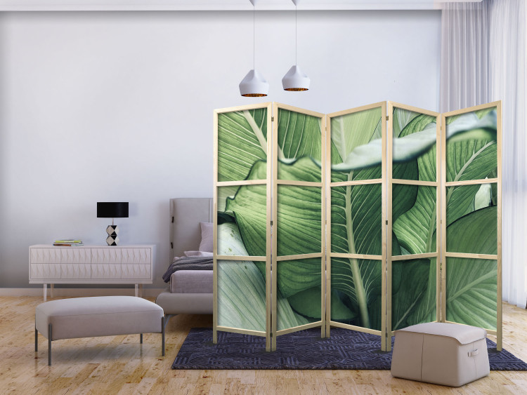 Room Divider Screen Large Leaves - Floral Motif in Shades of Green II [Room Dividers] 159569 additionalImage 8