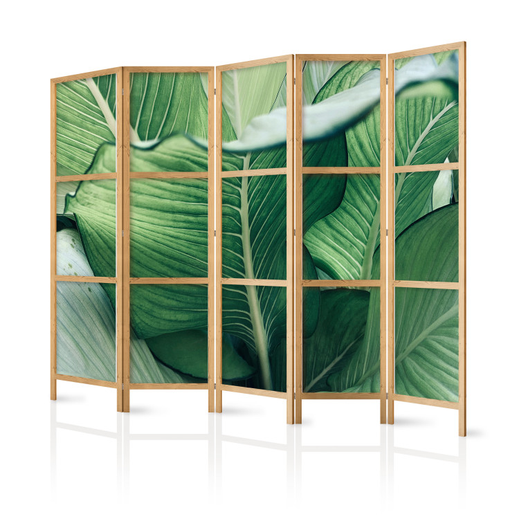 Room Divider Screen Large Leaves - Floral Motif in Shades of Green II [Room Dividers] 159569 additionalImage 5
