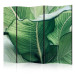 Room Divider Screen Large Leaves - Floral Motif in Shades of Green II [Room Dividers] 159569