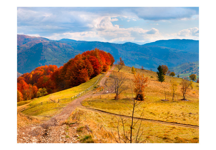 Wall Mural Carpathian Landscape - Autumn Mountain Landscape with Trees and Road 59969 additionalImage 1