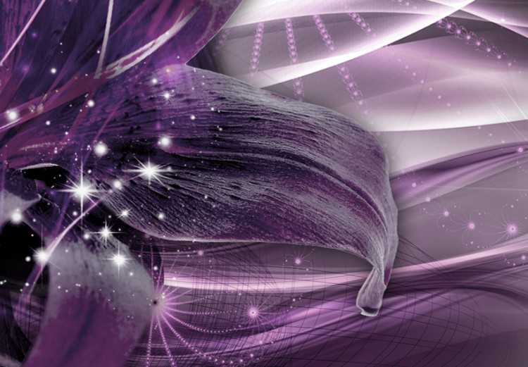 Canvas Amethyst Constellation (1-piece) - Purple Abstraction with Lilies 92969 additionalImage 5