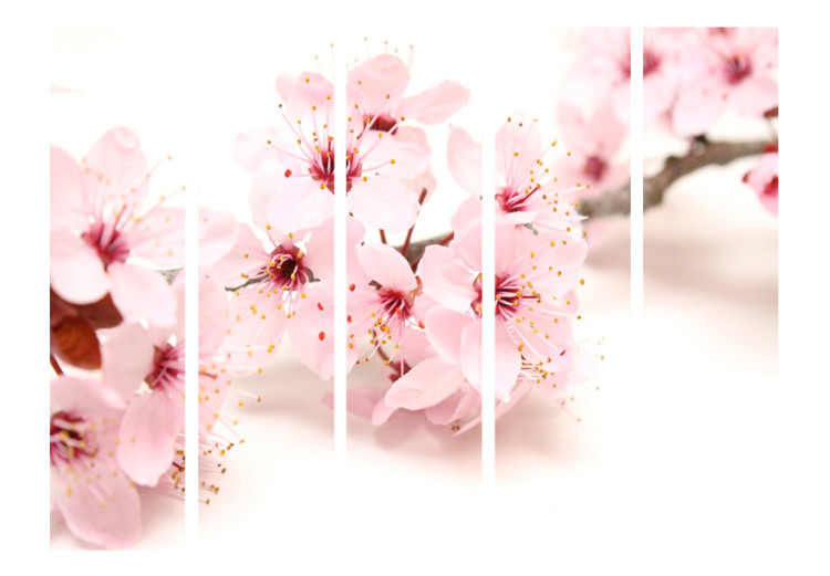 Room Separator Cherry Blossom II - pink plant on a white background in an oriental motif 96069 additionalImage 3