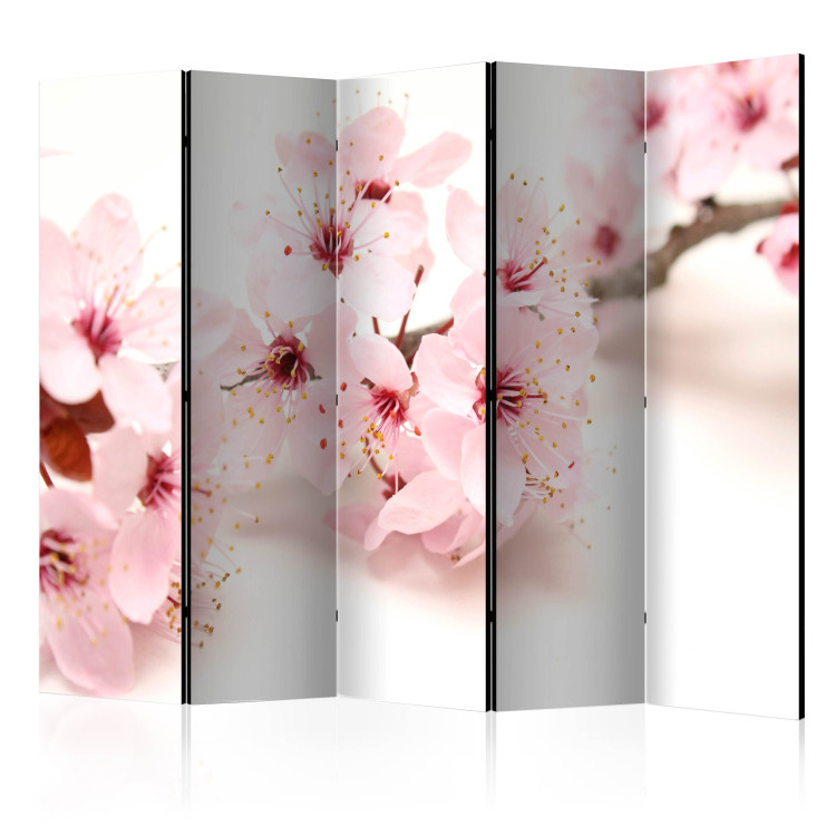 Room Separator Cherry Blossom II - pink plant on a white background in an oriental motif 96069