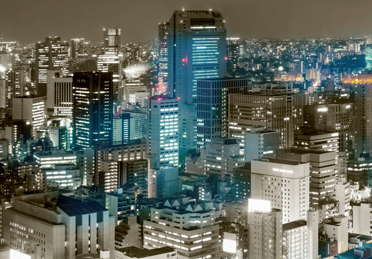 Canvas Tokyo Skyline (1-piece) - Skyscrapers Under Gray-Brown Sky 98569 additionalImage 4