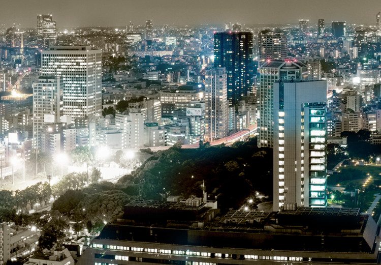 Canvas Tokyo Skyline (1-piece) - Skyscrapers Under Gray-Brown Sky 98569 additionalImage 5
