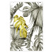 Wall Poster Golden Nature - composition with tropical monstera leaves with a golden touch 118279