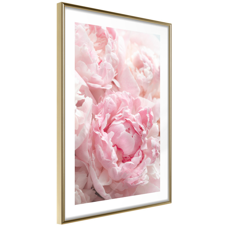 Wall Poster Morning Nostalgia - plant with a pink flower in a pastel shade 122779 additionalImage 8