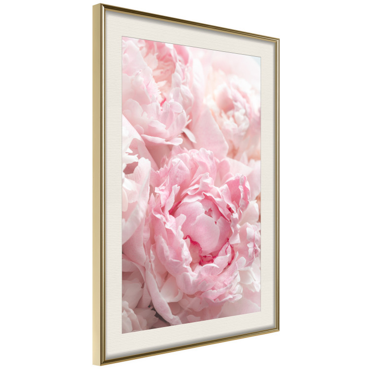Wall Poster Morning Nostalgia - plant with a pink flower in a pastel shade 122779 additionalImage 2