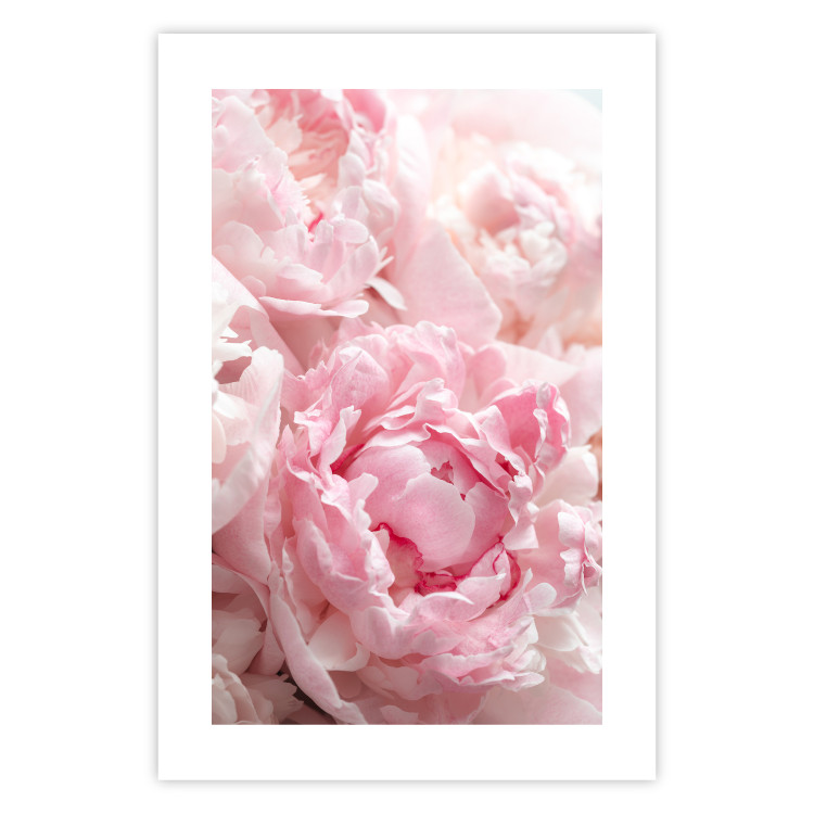 Wall Poster Morning Nostalgia - plant with a pink flower in a pastel shade 122779 additionalImage 25
