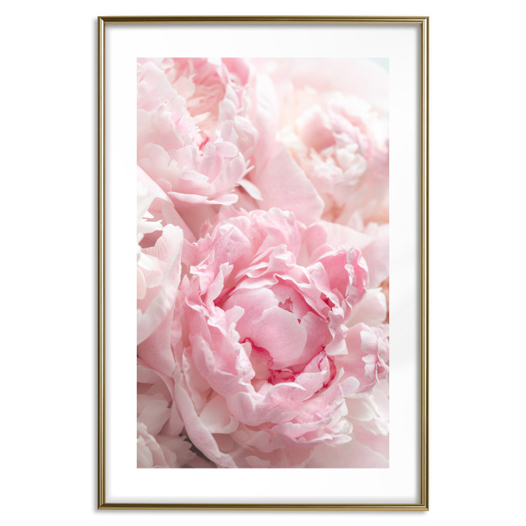 Wall Poster Morning Nostalgia - plant with a pink flower in a pastel shade 122779 additionalImage 16