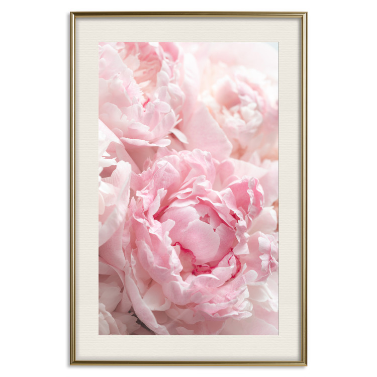 Wall Poster Morning Nostalgia - plant with a pink flower in a pastel shade 122779 additionalImage 19