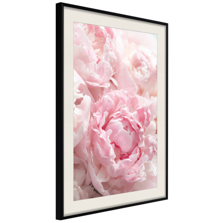 Wall Poster Morning Nostalgia - plant with a pink flower in a pastel shade 122779 additionalImage 3