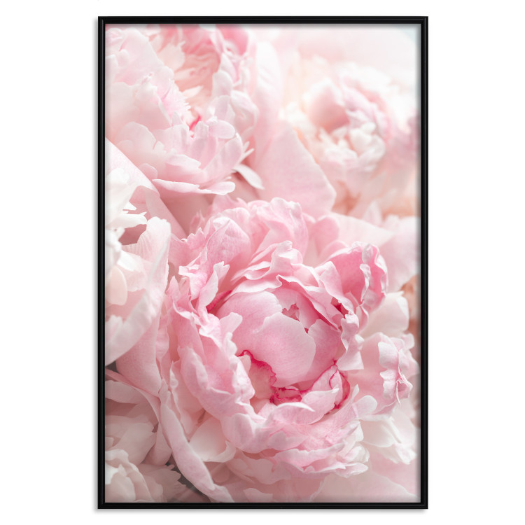 Wall Poster Morning Nostalgia - plant with a pink flower in a pastel shade 122779 additionalImage 18