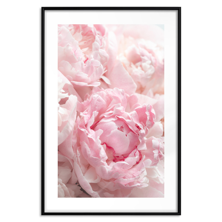 Wall Poster Morning Nostalgia - plant with a pink flower in a pastel shade 122779 additionalImage 15