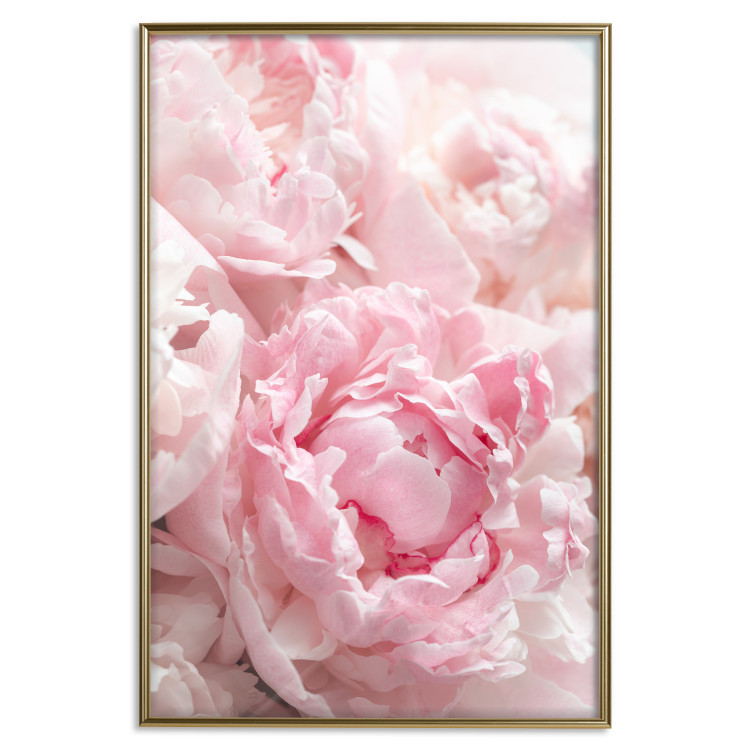 Wall Poster Morning Nostalgia - plant with a pink flower in a pastel shade 122779 additionalImage 20