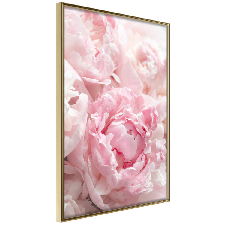 Wall Poster Morning Nostalgia - plant with a pink flower in a pastel shade 122779 additionalImage 12