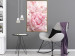 Wall Poster Morning Nostalgia - plant with a pink flower in a pastel shade 122779 additionalThumb 7
