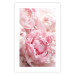 Wall Poster Morning Nostalgia - plant with a pink flower in a pastel shade 122779 additionalThumb 19