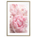 Wall Poster Morning Nostalgia - plant with a pink flower in a pastel shade 122779 additionalThumb 16