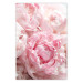 Wall Poster Morning Nostalgia - plant with a pink flower in a pastel shade 122779