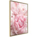 Wall Poster Morning Nostalgia - plant with a pink flower in a pastel shade 122779 additionalThumb 14