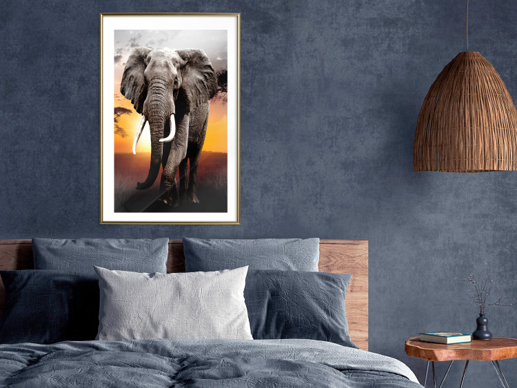 Poster Warm Savannah - adult elephant on savannah with sunset backdrop 123679 additionalImage 15
