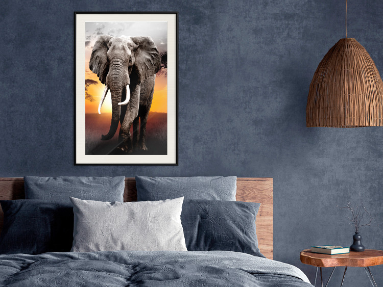Poster Warm Savannah - adult elephant on savannah with sunset backdrop 123679 additionalImage 22