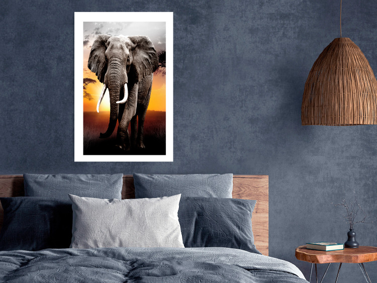 Poster Warm Savannah - adult elephant on savannah with sunset backdrop 123679 additionalImage 5