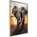 Poster Warm Savannah - adult elephant on savannah with sunset backdrop 123679 additionalThumb 12