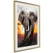 Poster Warm Savannah - adult elephant on savannah with sunset backdrop 123679 additionalThumb 3