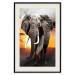 Poster Warm Savannah - adult elephant on savannah with sunset backdrop 123679 additionalThumb 18