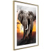 Poster Warm Savannah - adult elephant on savannah with sunset backdrop 123679 additionalThumb 7