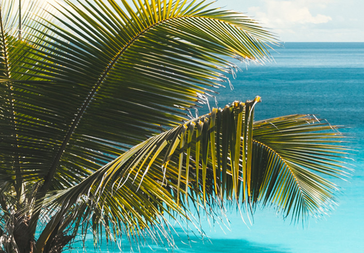 Large canvas print Tropical Vacation II [Large Format] 125879 additionalImage 3